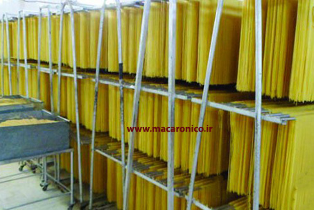 تولید ماکارونی رشته ای اسپاگتی صادراتی